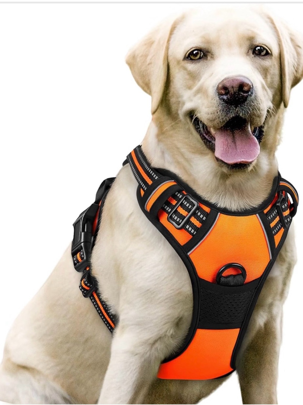 Dog Harness, No Pull for Large Dogs with 2 Leash Clips, Pet Vest. 525/DB-1:v